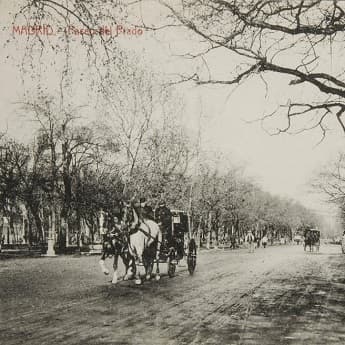 Salón del Prado, el Paseo de los Sentidos