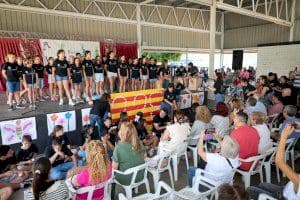 Festival Primavera, Música i Solidaritat