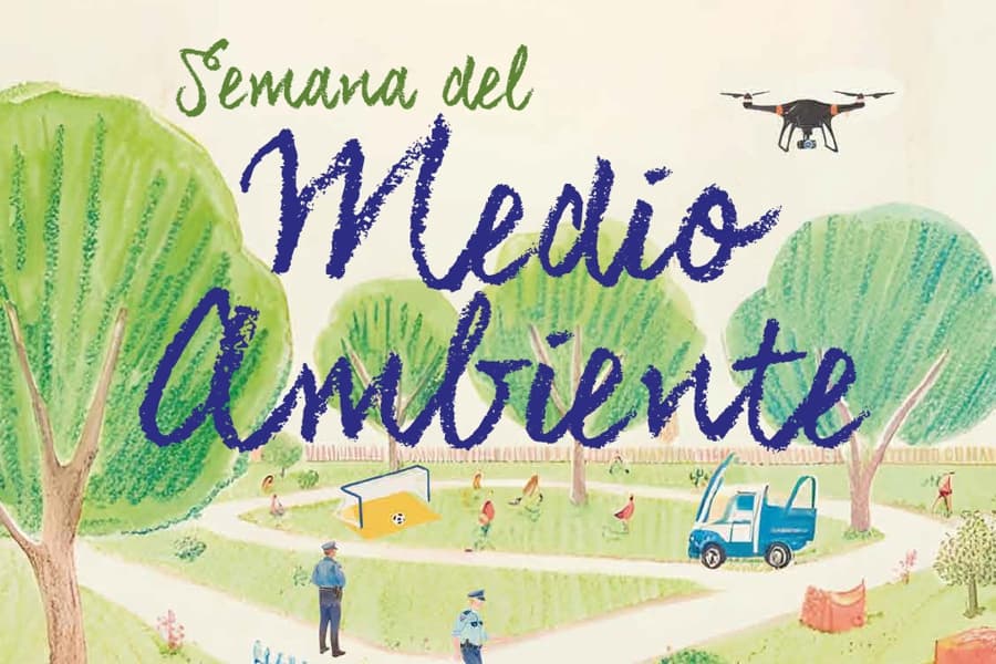 Taller de jardineras con madera reciclada