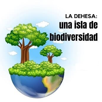 La Dehesa, una isla de biodiversidad.
