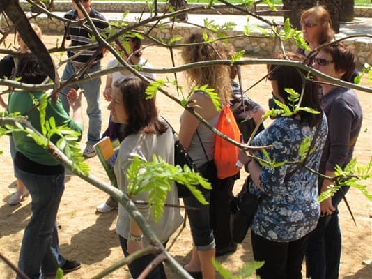 DIA INTERNACIONAL DELS MUSEUS. El Parc de Can Mercader. Una passejada pel jardí romàntic
