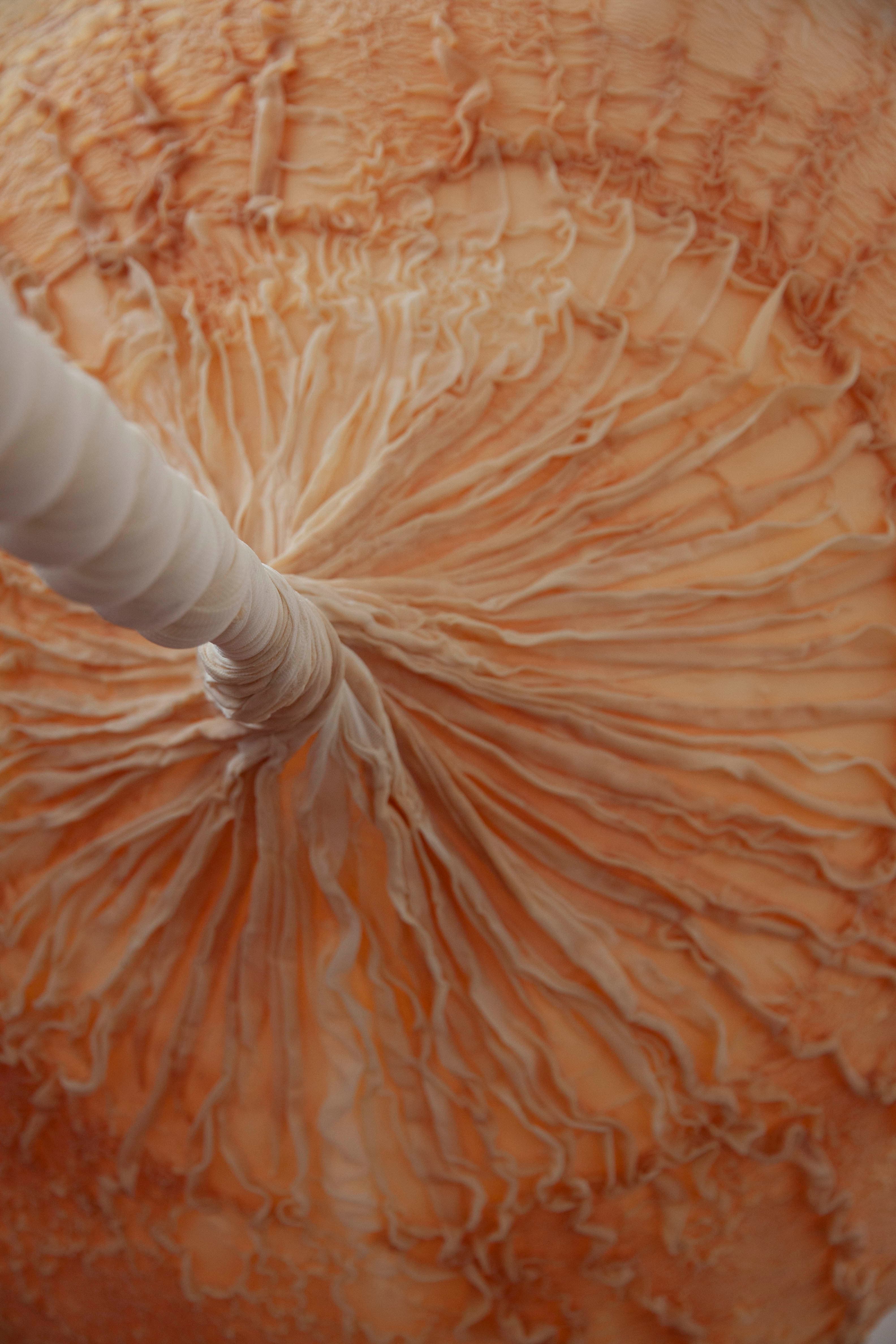 Abierto x Obras - Eva Fàbregas