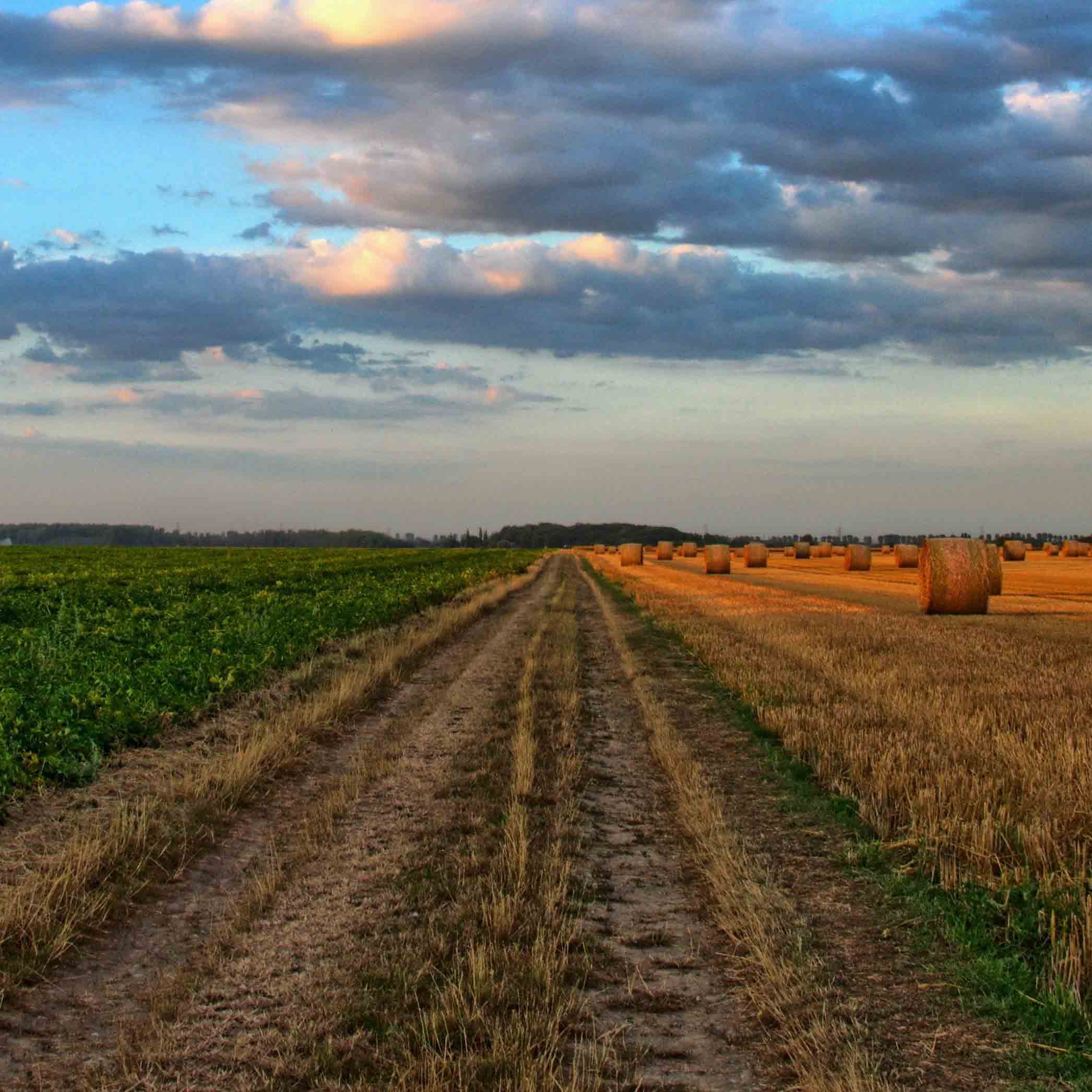 Ruralitat i consciència