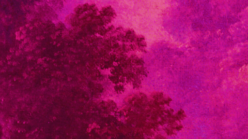 LA EDAD DE PLATA. GOYESCAS y EL RETABLO DE MAESE PEDRO