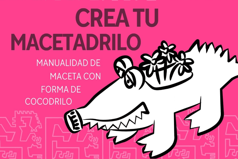 EL CLUB DEL EXPLORADOR: CREA TU MACETADRILO