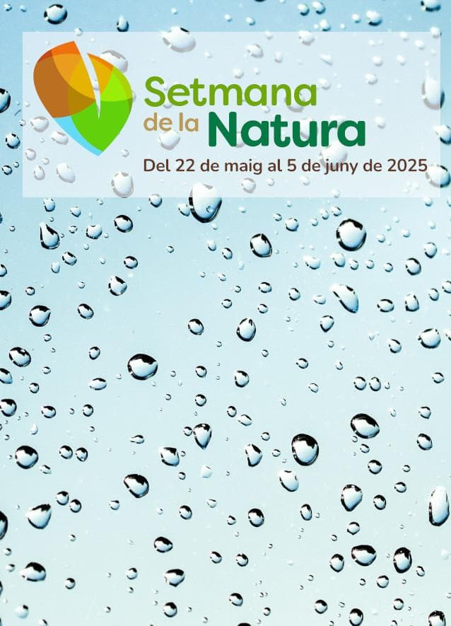 RENATUReves. Taller: El agua y los sistemas urbanos de drenaje sostenible