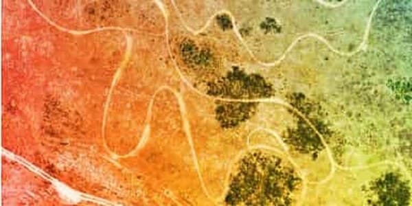 EXPOSICIÓN “PAISAJE COMESTIBLE”