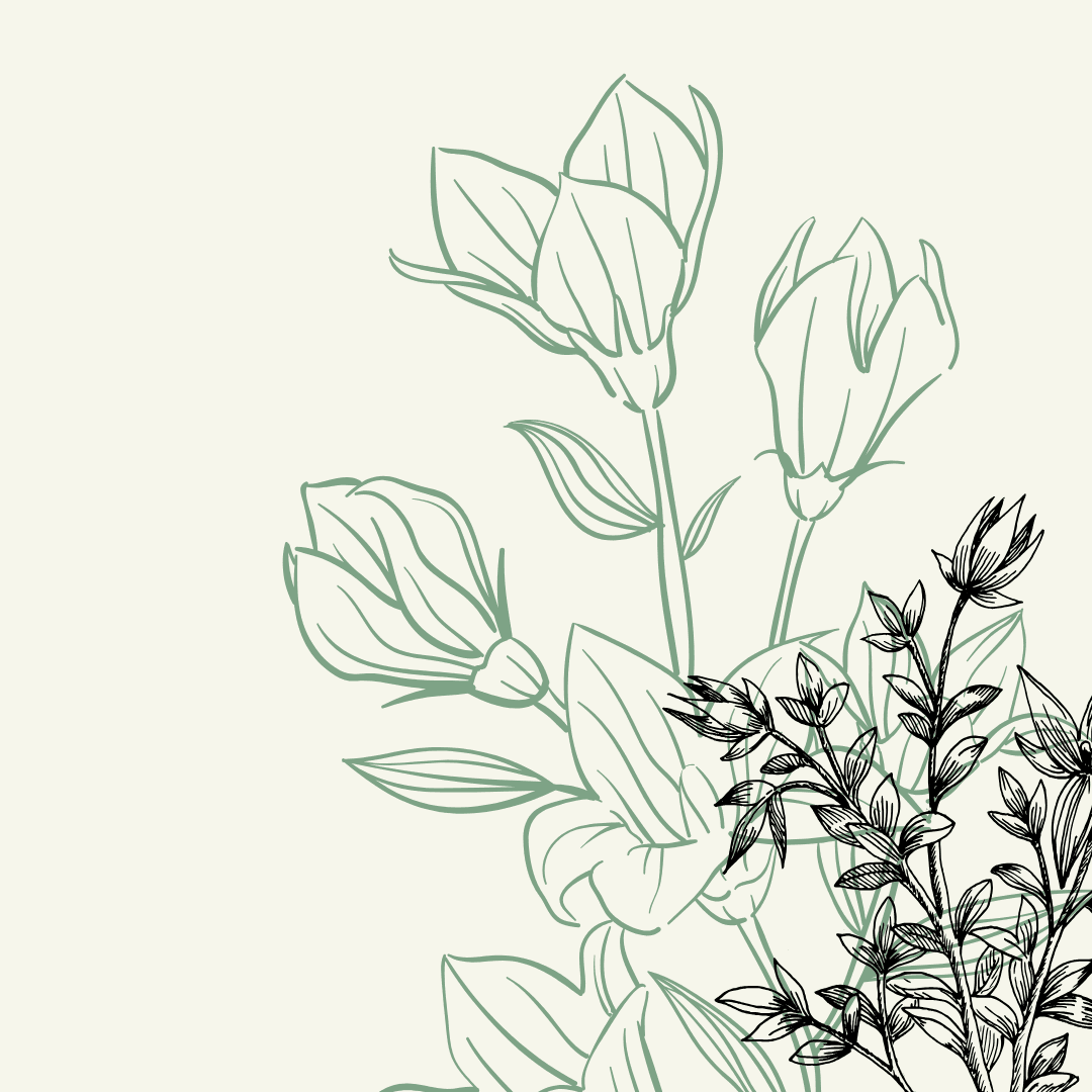 Taller - Xerrada: “Les plantes silvestres comestibles, un patrimoni culinari del Bages”