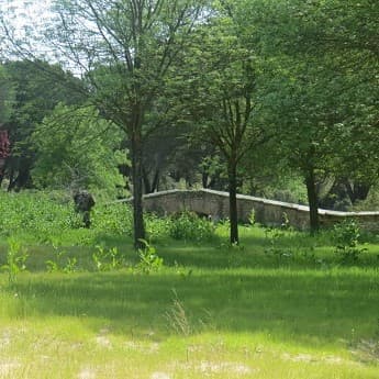 Del Parque forestal Adolfo Suarez a Casa de Campo