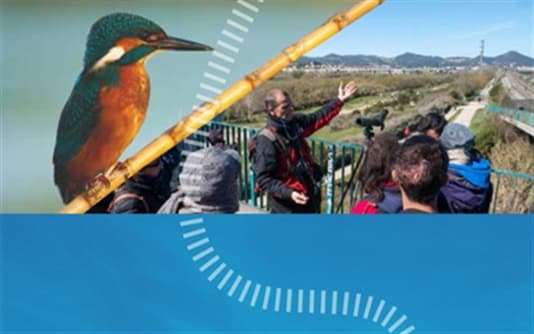 Inscripcions: Visita guiada al riu Llobregat – Revisió de caixes instal.lades i sessió d'anellament científic d'aus del 14 de juny