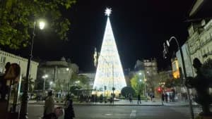 Exposición del Árbol de Navidad de 35m en la Alameda