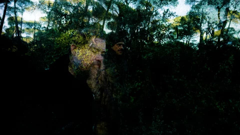 The Royal Landscaping Society en concierto