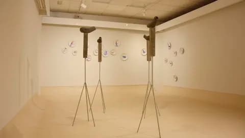 El lenguaje de las aves