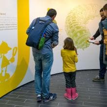 Visites Guiades a l'exposició "Tu investigues!"