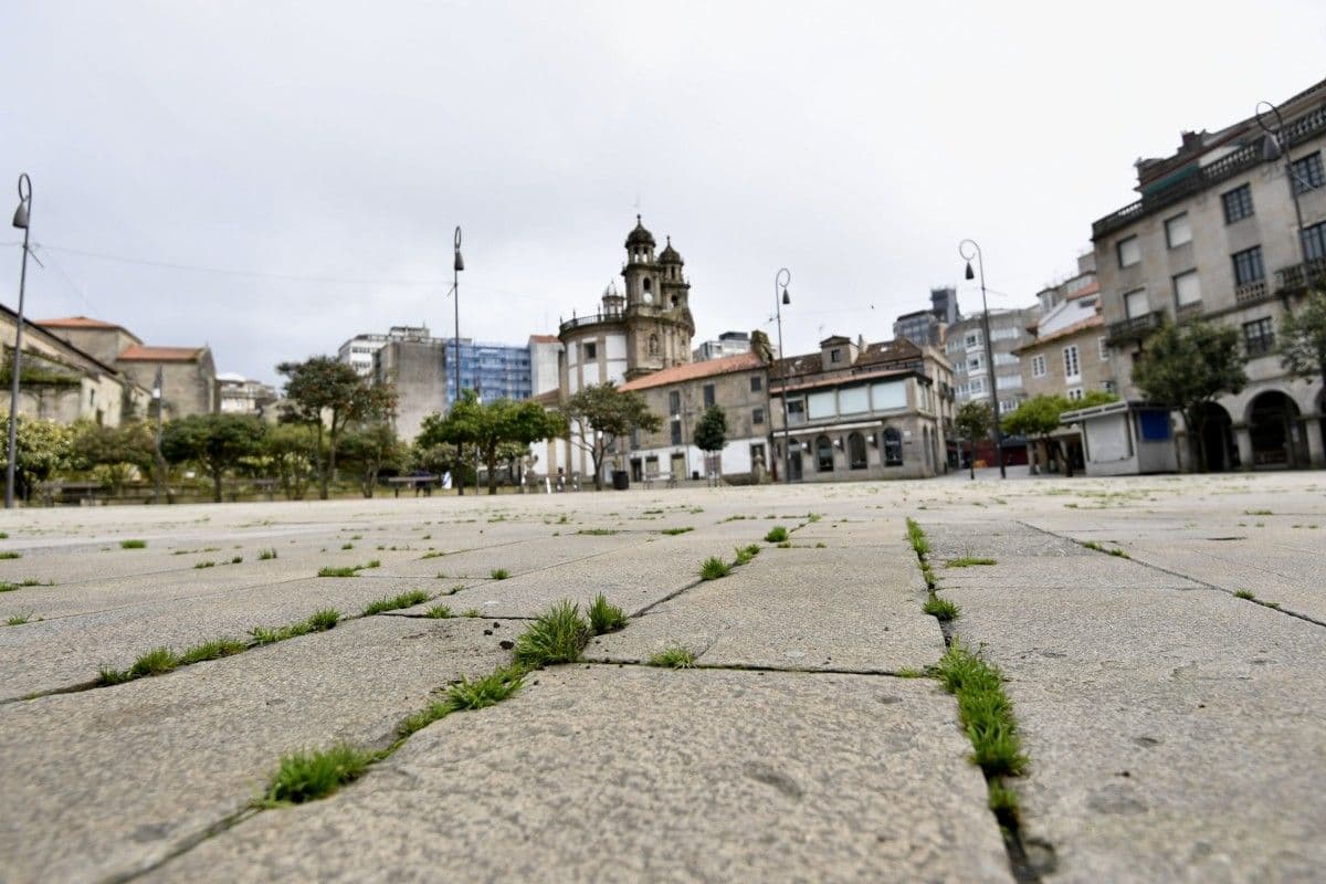 Andaina 'Las plantas silvestres de Pontevedra'