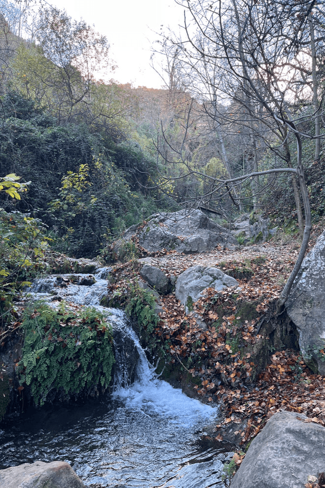 Fin de semana en Sierra de Cazorla