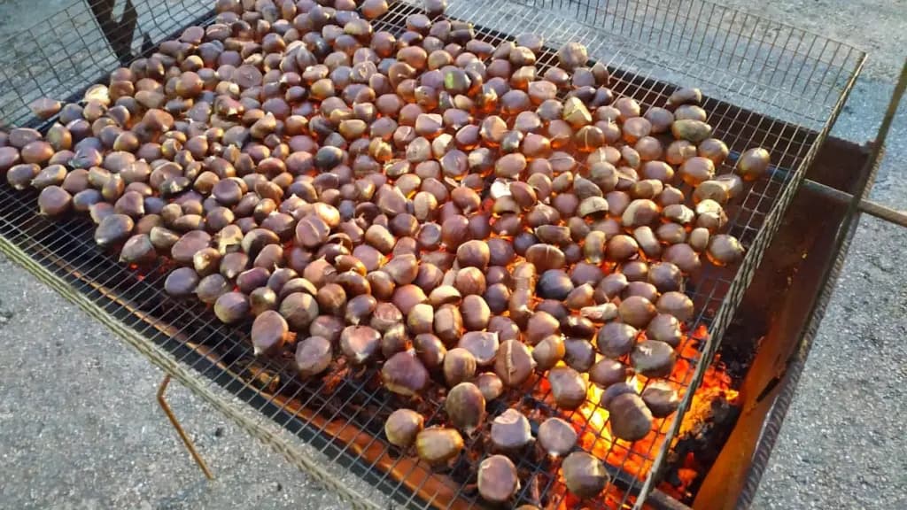 Magosto en Elviña