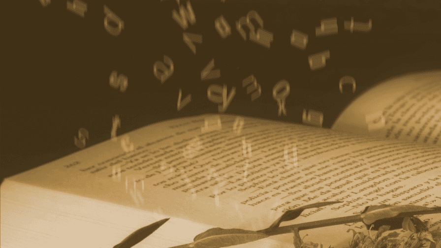 ÁNGELO NÉSTORE • JOSE CARRA