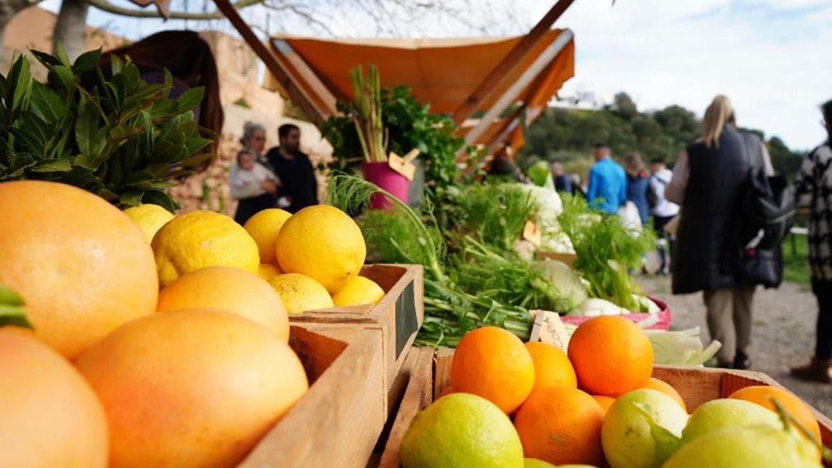 Mercado Ecológico de Can Planetes