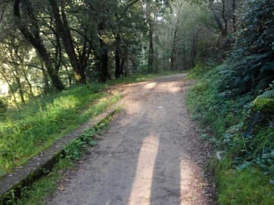 Wikiloc | Ruta Salgueiriños-Valdecorvos-Senda del Lerez ( Por ...