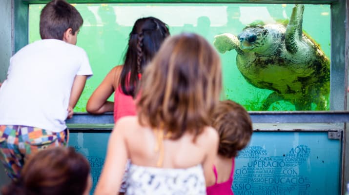 Visites guiades familiars al CRAM