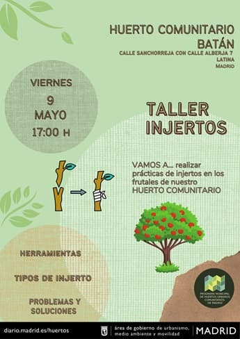 Taller de injertos