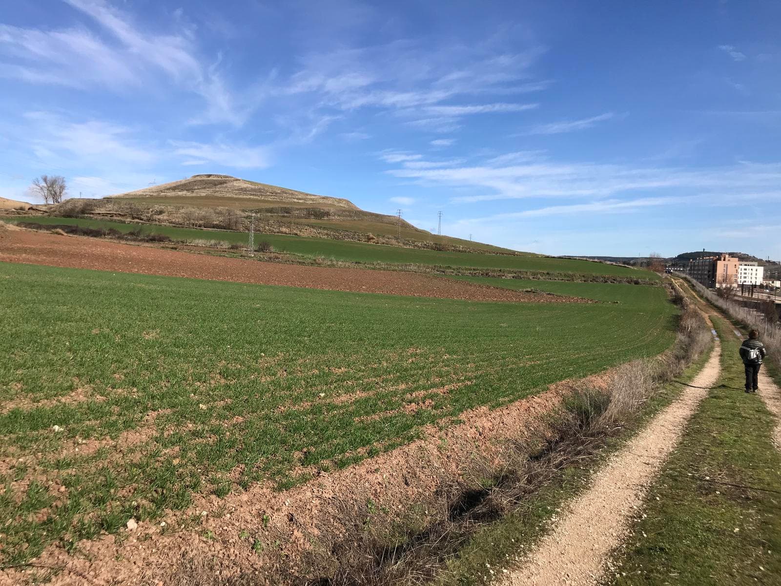 Itinerario Ambiental: “La lora y el cerro de la Galga”