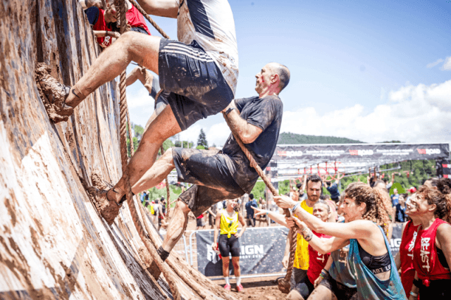 Survivor Madrid