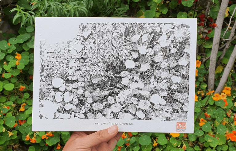 Urban sketching: Dibuixem la biodiversitat del jardí de papallones