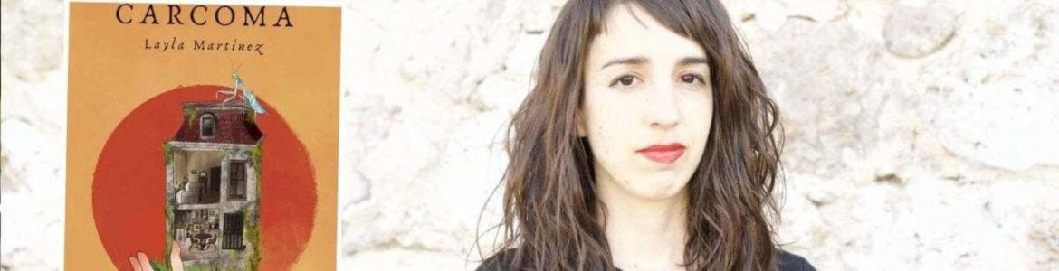 Sui Generis Madrid Itinerante: "Los sótanos del terror. Una historia política del género".