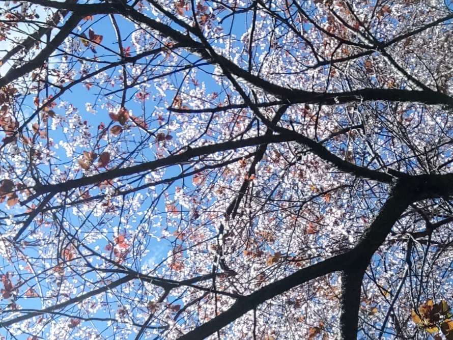 Taller de Semana Santa – Ver, Oler, Tocar… ¡Pintar!