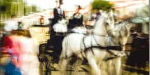 EXPOSICIÓN DE FOTOGRAFÍAS COLOR DE ABRIL