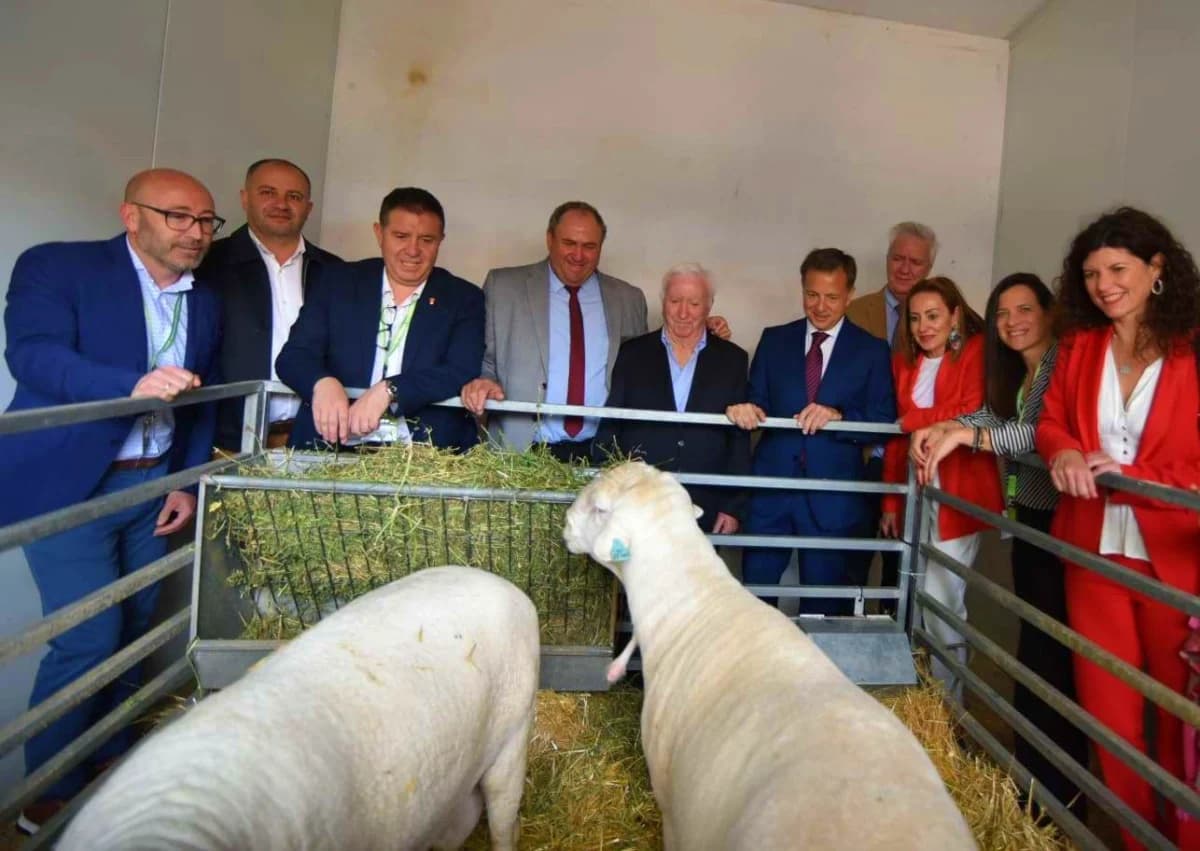 Concurso de tractor a pedales