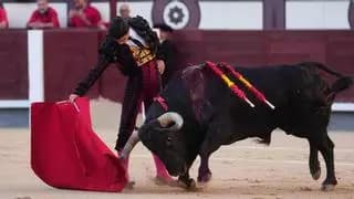 Corrida de toros con Pablo Aguado