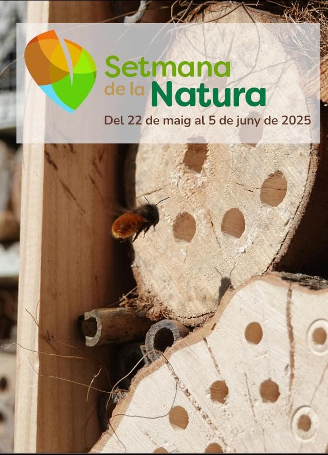 RenaturReus. Taller de hoteles de insectos