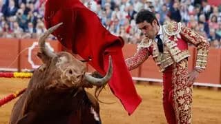 Miguel Ángel Perera, Emilio de Justo y Borja Jiménez protagonizan el segundo festejo de la Feria de Córdoba