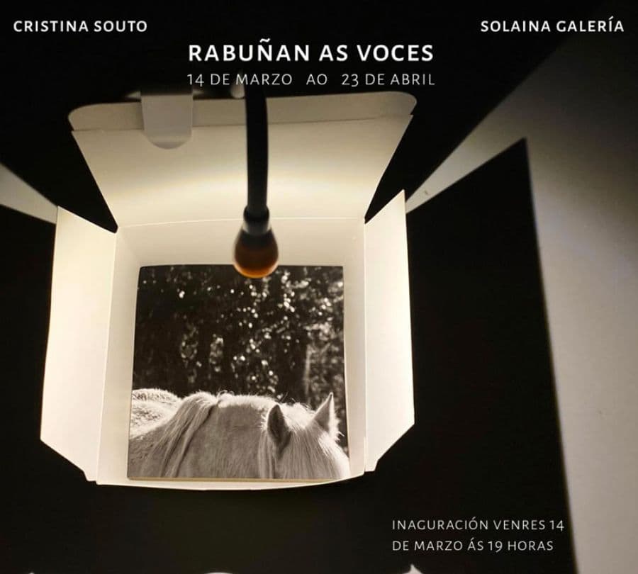 Inauguración Exposición | RABUÑAN AS VOCES de Cris Souto