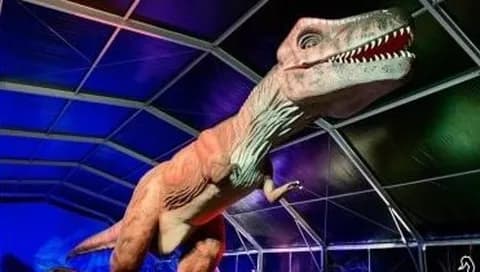 Ciclo de charlas Paleontología para todos