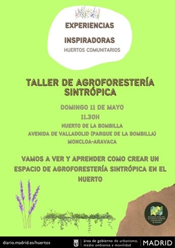 Taller de agroforestería sintrópica
