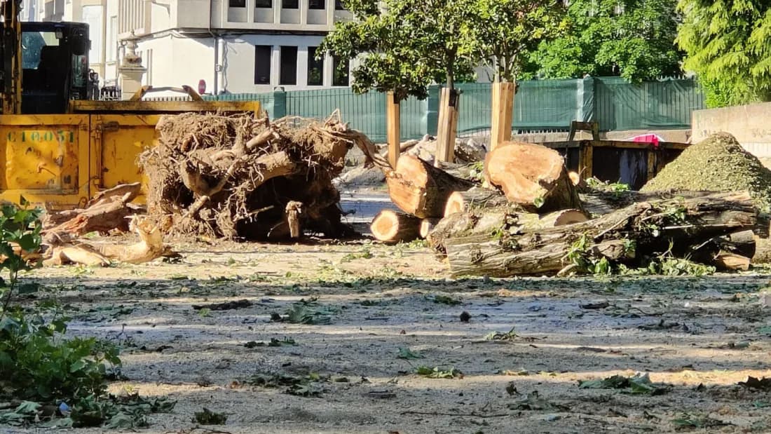 Cadena humana en el Jardín del Posío