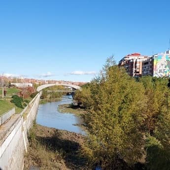 Itinerario Ornitológico Parque del Manzanares - Madrid Río