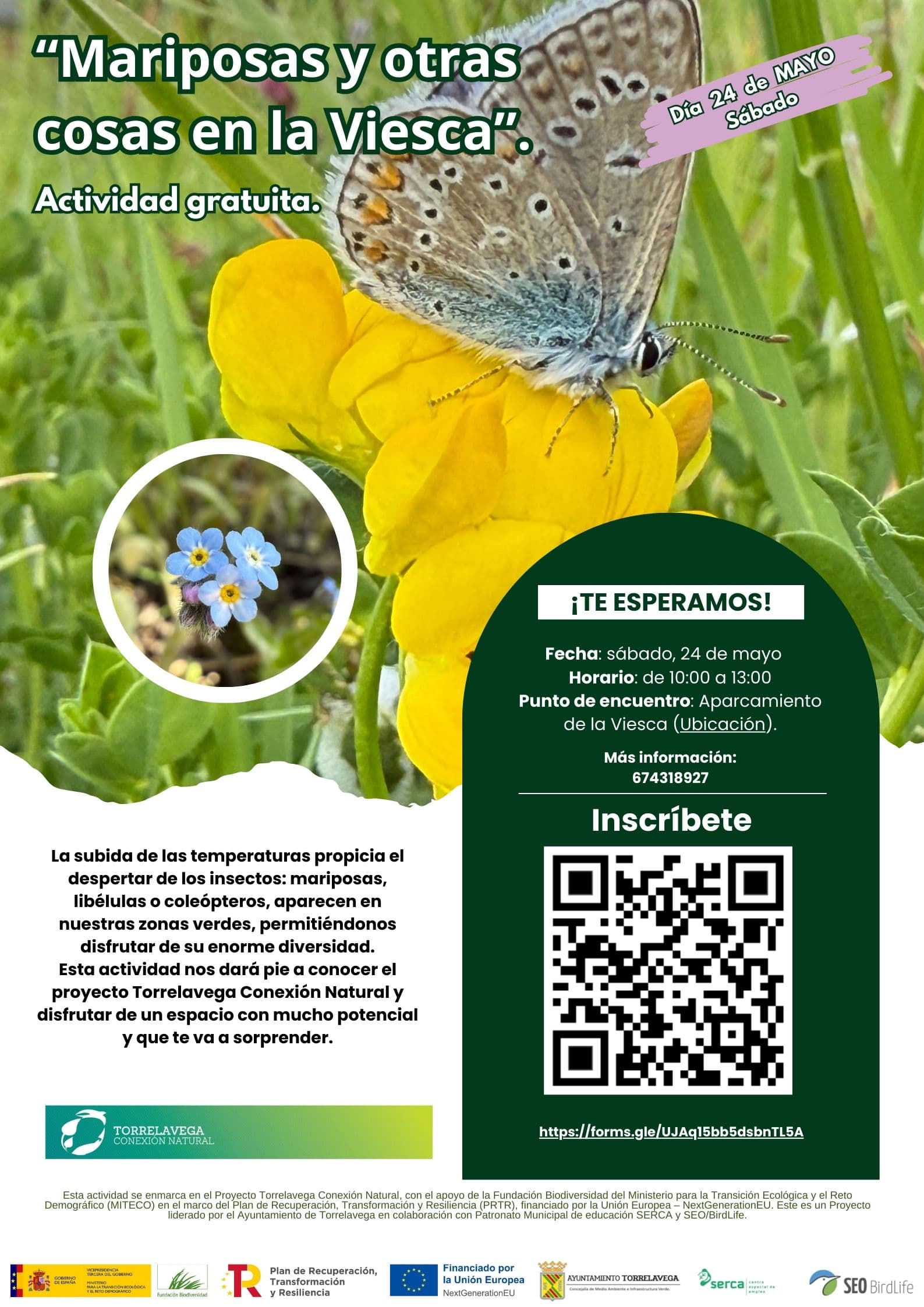Mariposas y otras cosas en La Viesca