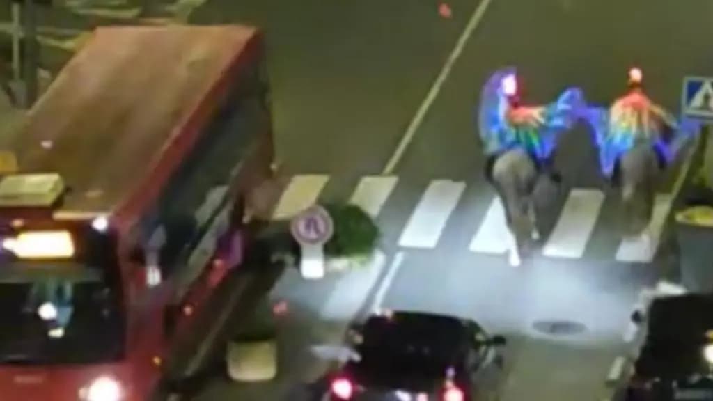 Los jinetes alados iluminados