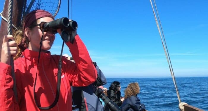 Embarques participativos: avistamiento de orcas y ballenas