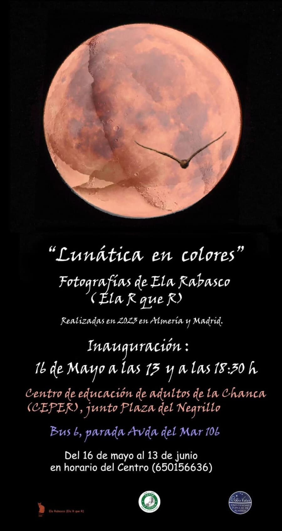 LUNÁTICA EN COLORES