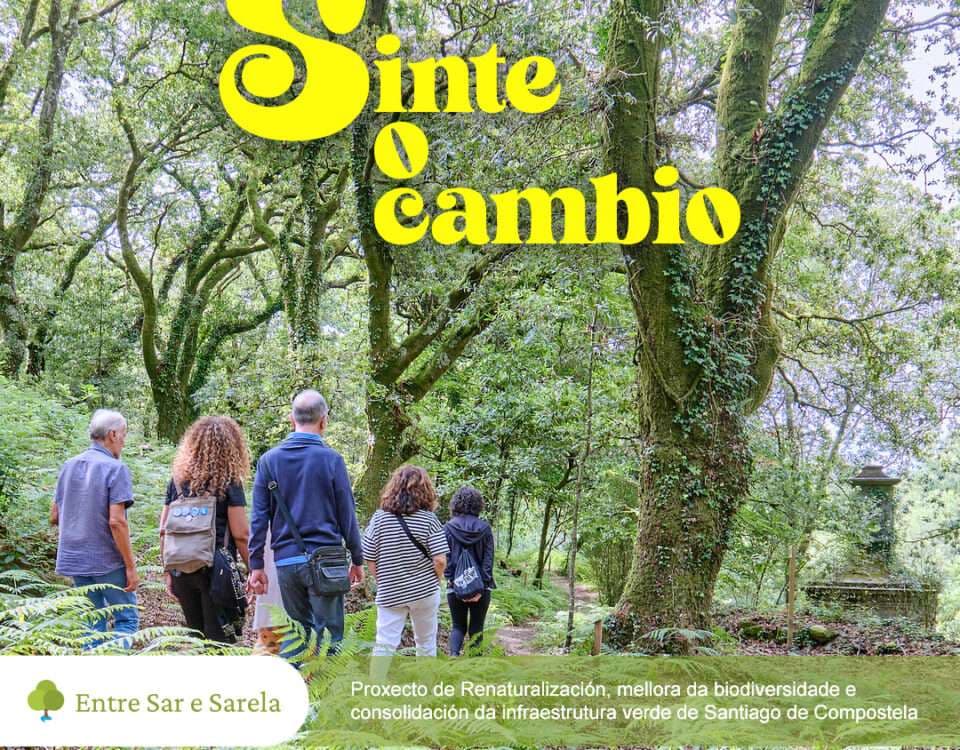 Roteiros polos espazos verdes do anel exterior da cidade