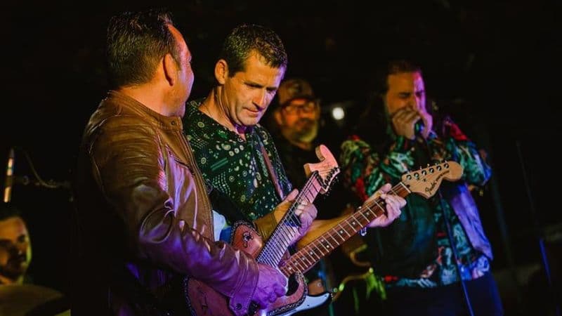 Three Roosters