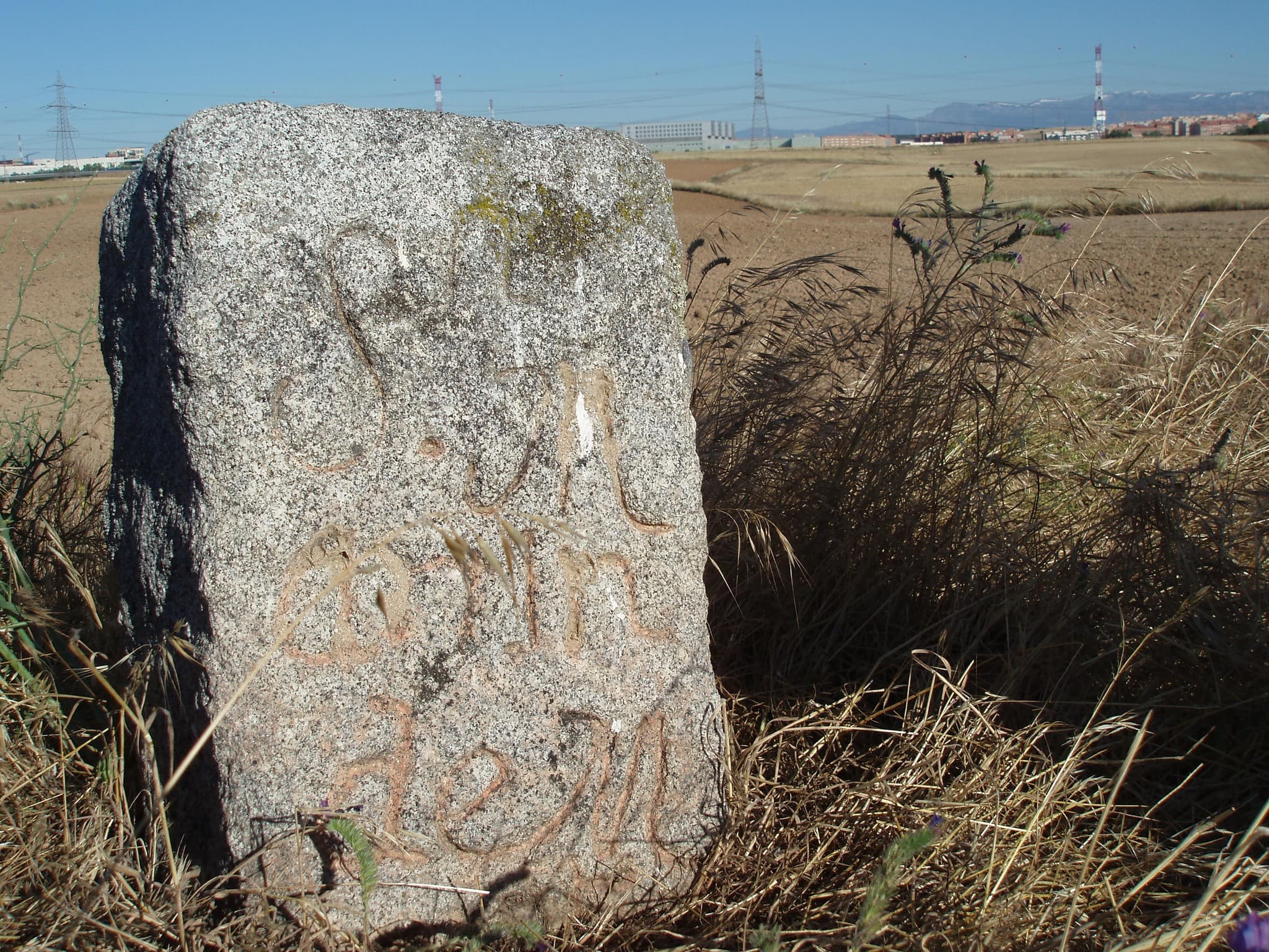'La Dehesa Vieja, 500 años después'