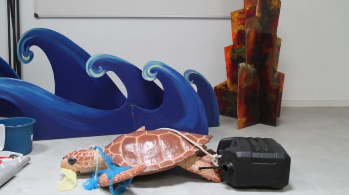 ¿Cómo se rescata una tortuga marina?