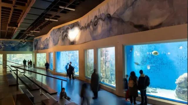 Museos de A Coruña abrirán gratis